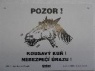 Pozor ! Kousavý kůň