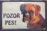 Pozor pes - boxer