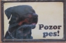pozor pes - rotvajler